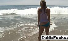 Dahlia Skys热辣的独奏表演:一系列感性的时刻